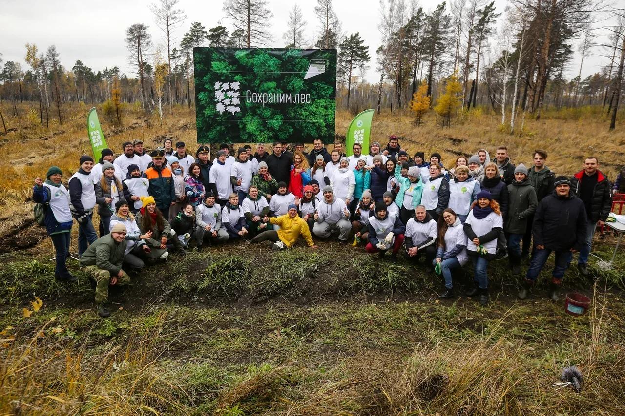 Фото Волонтёры Сбера в Новосибирской области помогли высадить 5 тысяч саженцев лиственницы 3